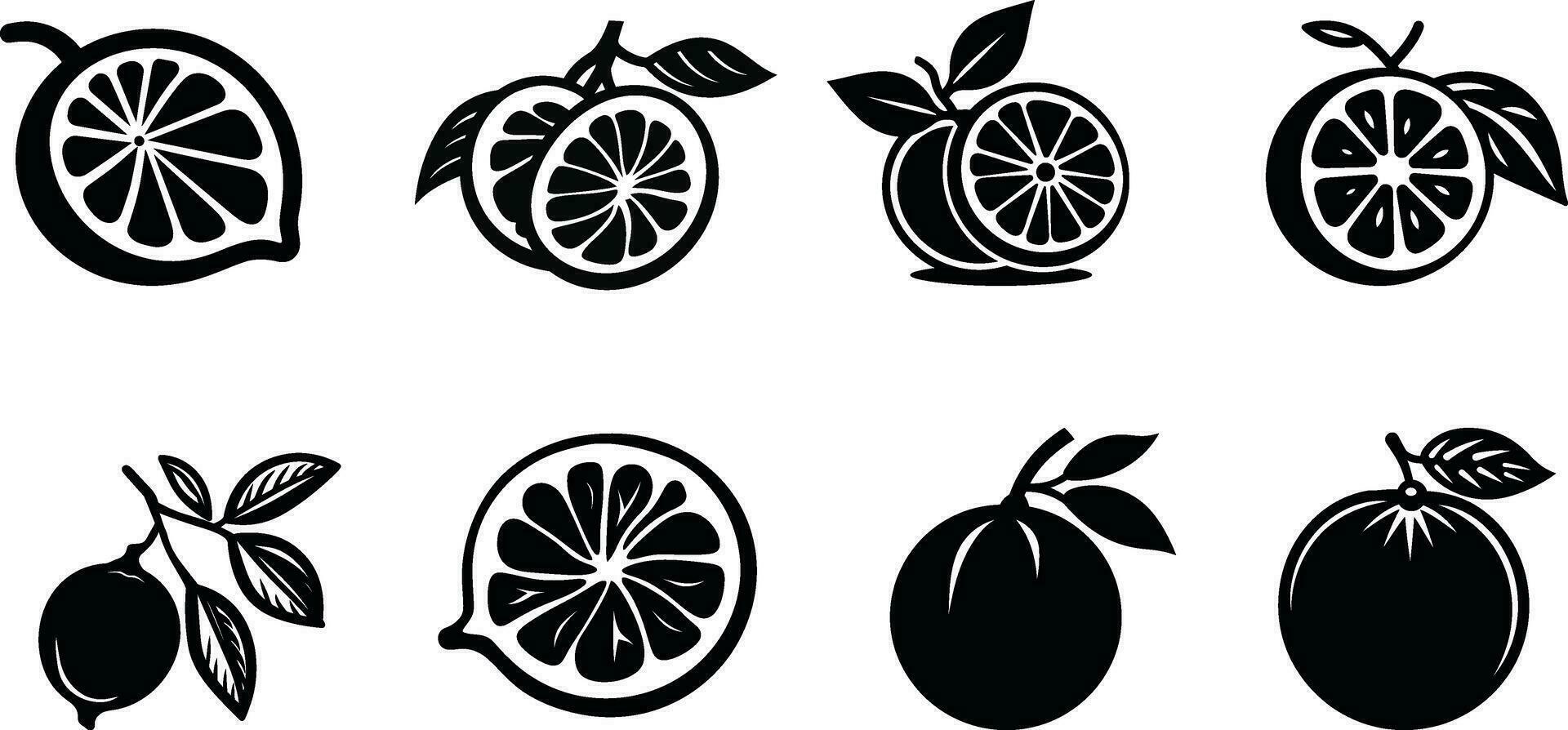 beschwingt Zitrusfrüchte Obst Abbildungen frisch und saftig Vektor Grafik