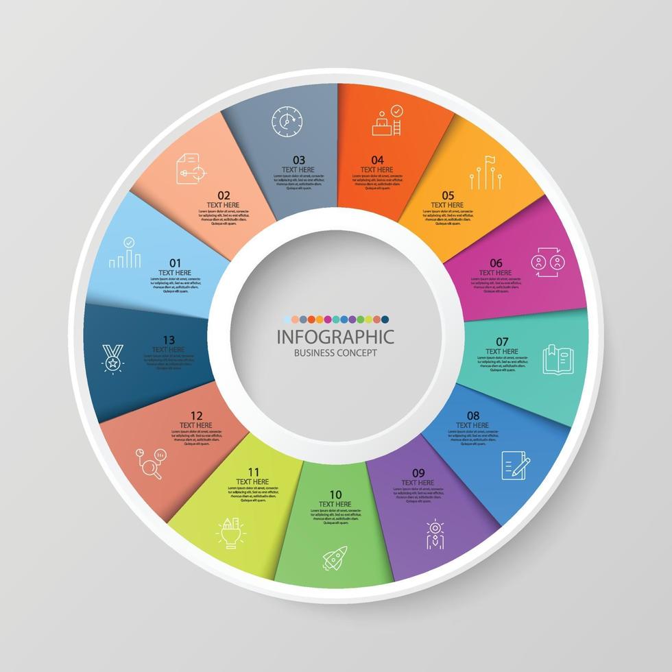 13 -stegs infografik vektor