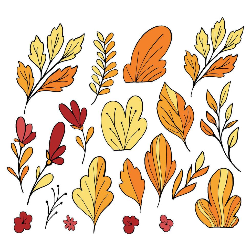 Hand gezeichnet Herbst Blätter. einstellen von Hand gezeichnet Gekritzel und Farbe Elemente vektor