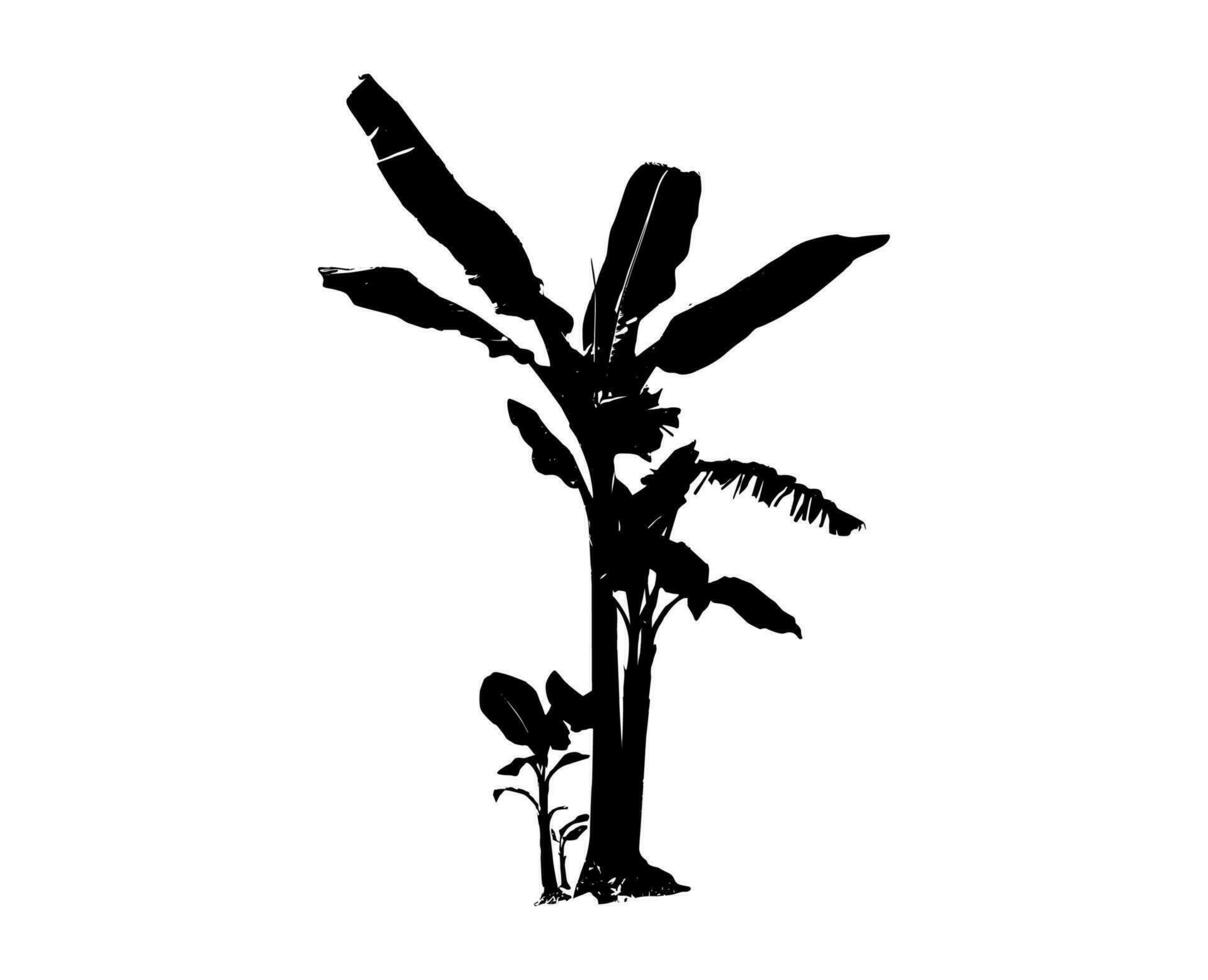 Silhouette von Banane Baum einstellen auf Weiß Hintergrund Vektor Kunst schwarz Farbe