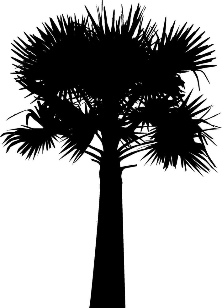en svart och vit illustration av en handflatan träd, silhuett av handflatan träd på vit bakgrund vektor konst, svart Färg