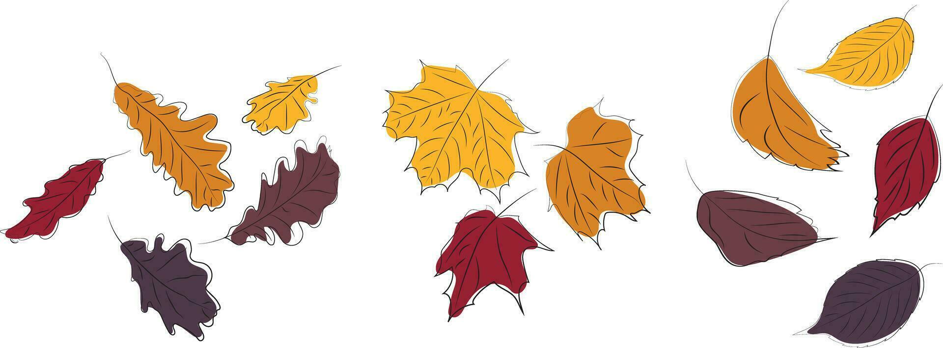 Linie Kunst mit Farbe. Herbst Blätter. hoch Qualität Vektor Illustration.