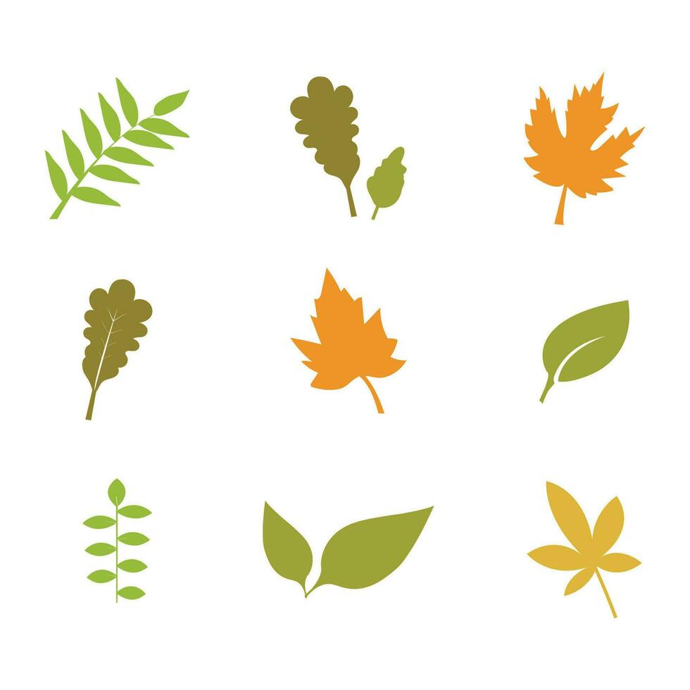 bunt Herbst Blatt Vektor isoliert auf Weiß Hintergrund. Blatt Symbol Vektor Illustration.