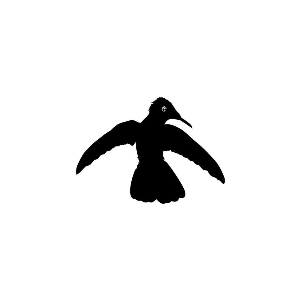 fliegend Kolibri Silhouette, können verwenden Kunst Illustration, Webseite, Logo Gramm, Piktogramm oder Grafik Design Element. Vektor Illustration