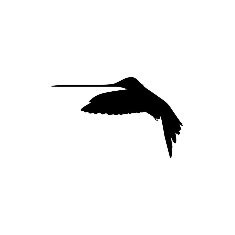 fliegend Kolibri Silhouette, können verwenden Kunst Illustration, Webseite, Logo Gramm, Piktogramm oder Grafik Design Element. Vektor Illustration