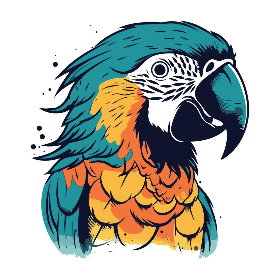 vektor illustration av ara papegoja. isolerat på vit bakgrund.