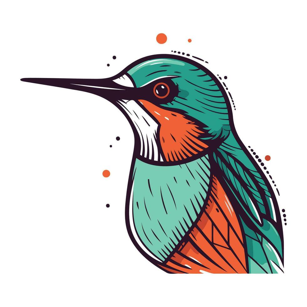 bunt Vektor Hand gezeichnet Illustration von ein verbreitet Eisvogel Vogel