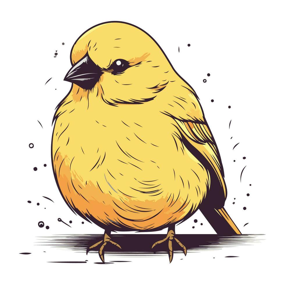 vektor illustration av en söt liten gul fågel på en vit bakgrund.