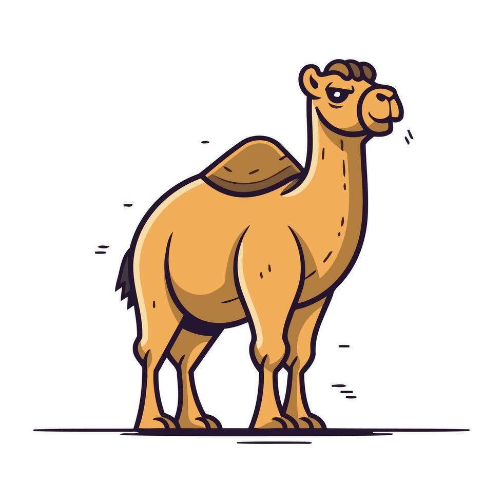 Kamel. Vektor Illustration von ein Kamel auf ein Weiß Hintergrund.