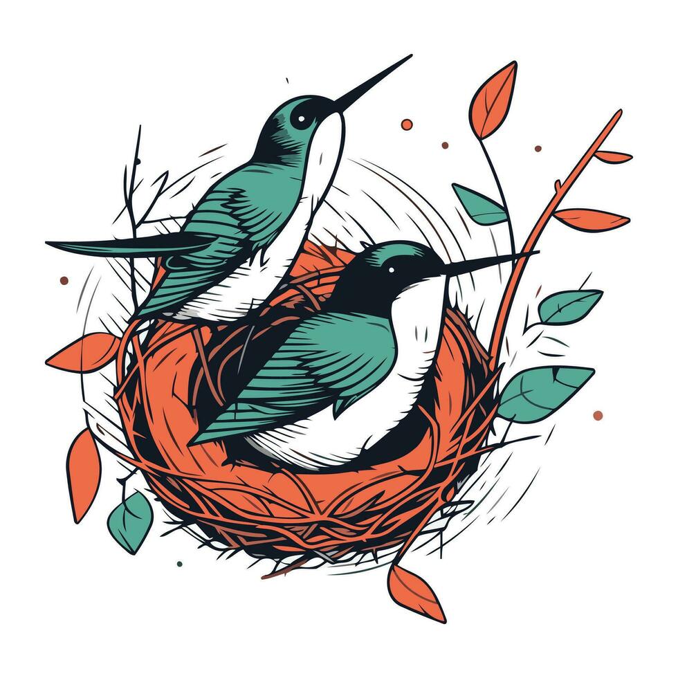 Kolibri im Nest. Hand gezeichnet Vektor Illustration im skizzieren Stil.