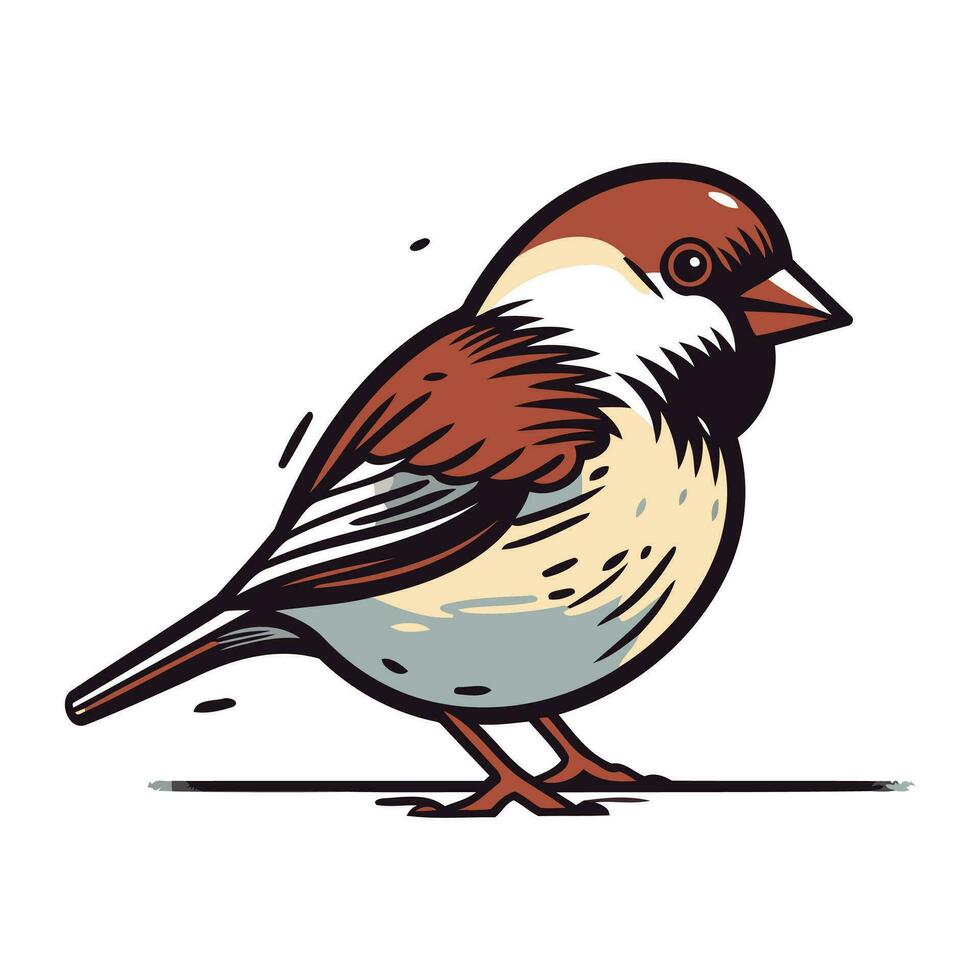 Spatz. Vektor Illustration von ein Vogel auf Weiß Hintergrund.