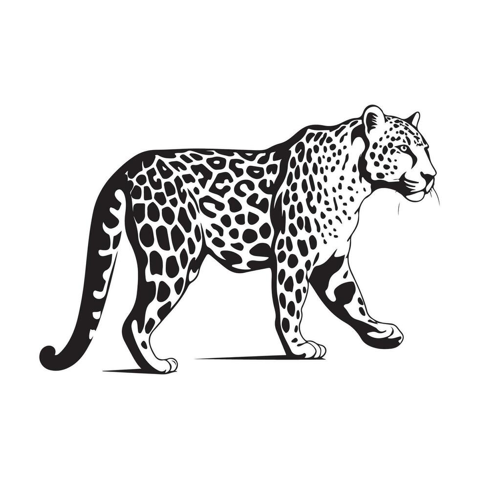 Leopard Vektor Bild, Design und Illustration