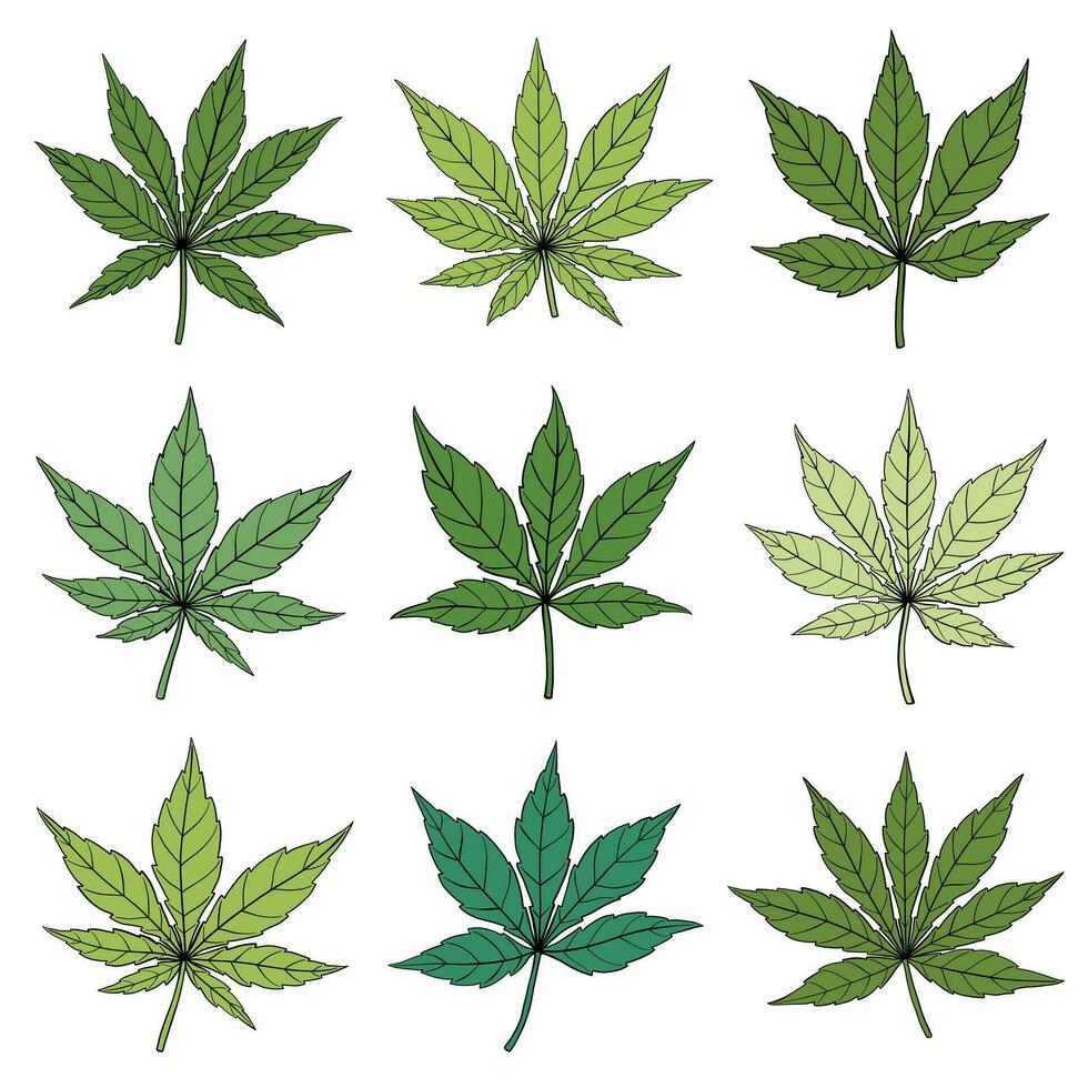 Einfachheit Cannabisblatt Freihandzeichnen flache Designkollektion. vektor