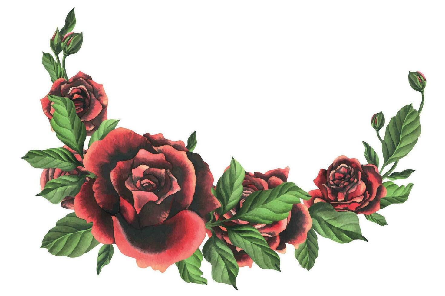 rot schwarz Rose Blumen mit Grün Blätter und Knospen, schick, hell, schöne. Hand gezeichnet Aquarell Illustration. isoliert Komposition auf ein Weiß Hintergrund, zum Dekoration und Design. vektor