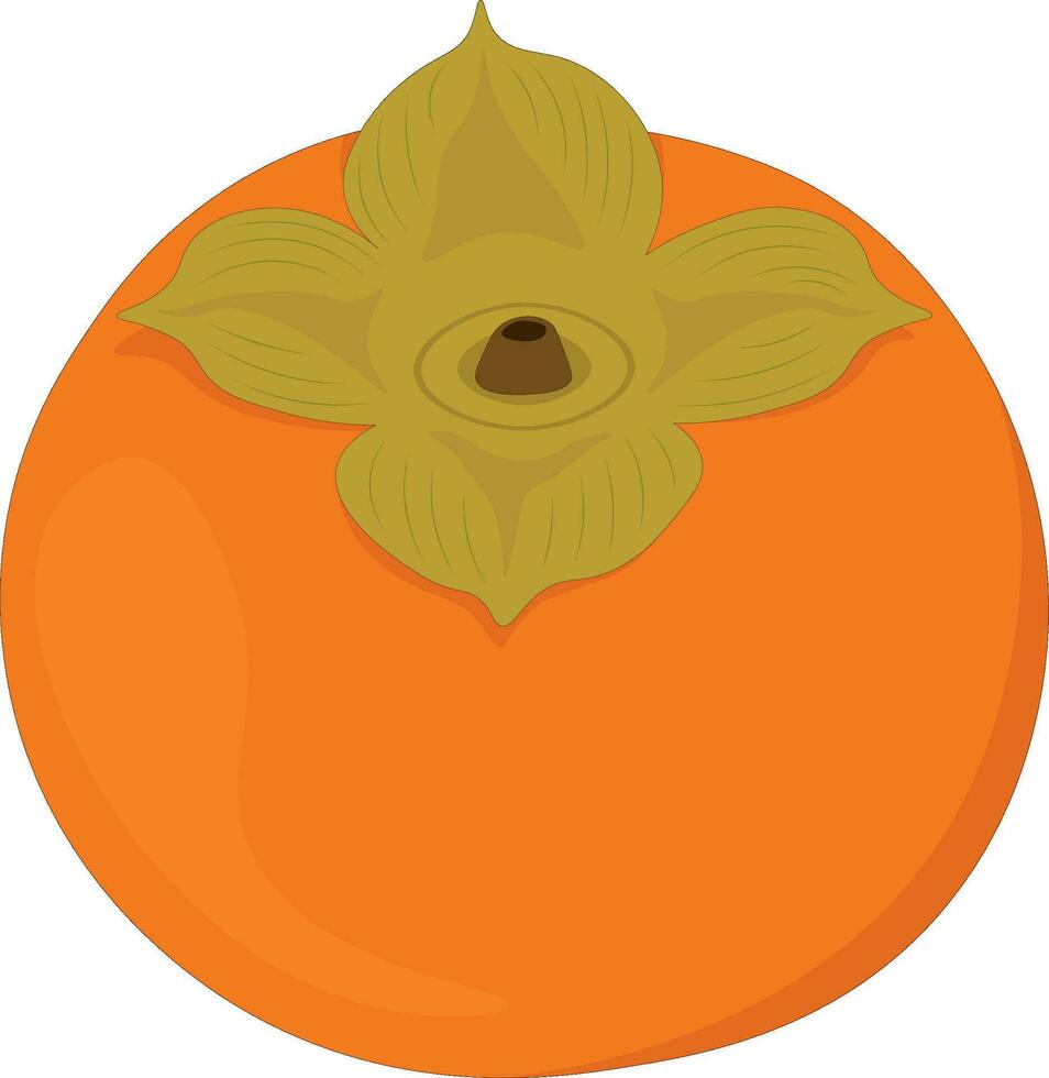 mogen orange persimon vektor illustration