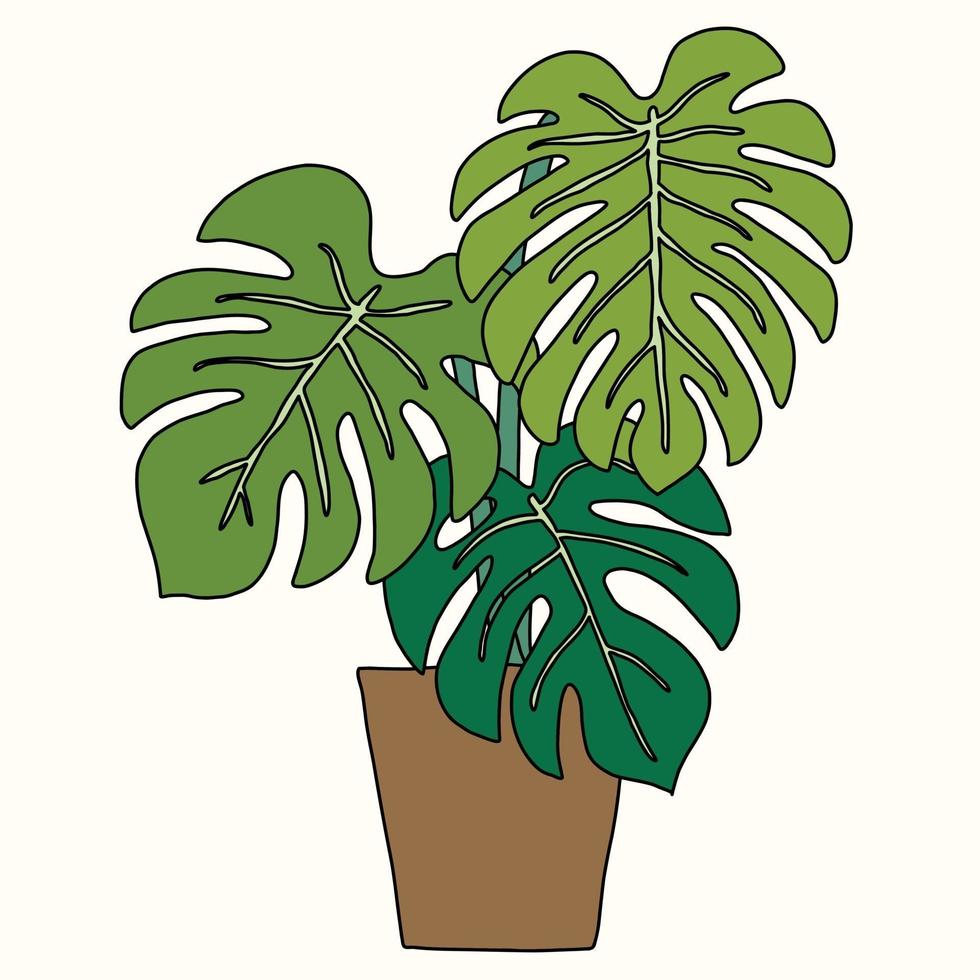 enkelhet monstera växt frihand disposition ritning platt design. vektor