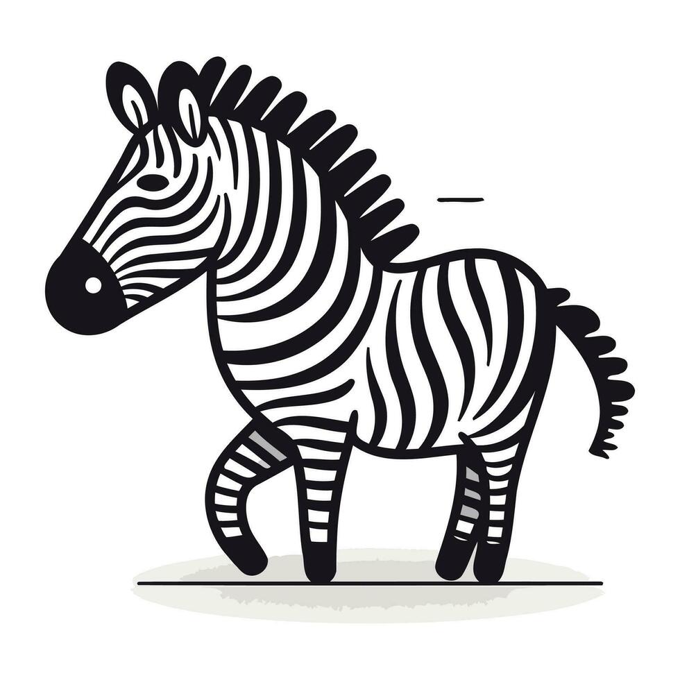 Zebra. schwarz und Weiß Vektor Illustration isoliert auf Weiß Hintergrund.