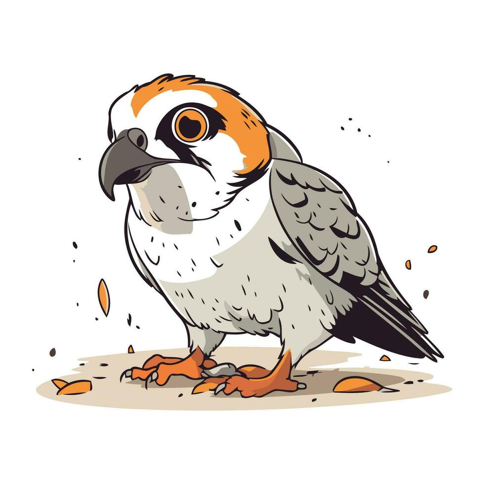 Illustration von ein Falke auf ein Weiß Hintergrund. Vektor Illustration.