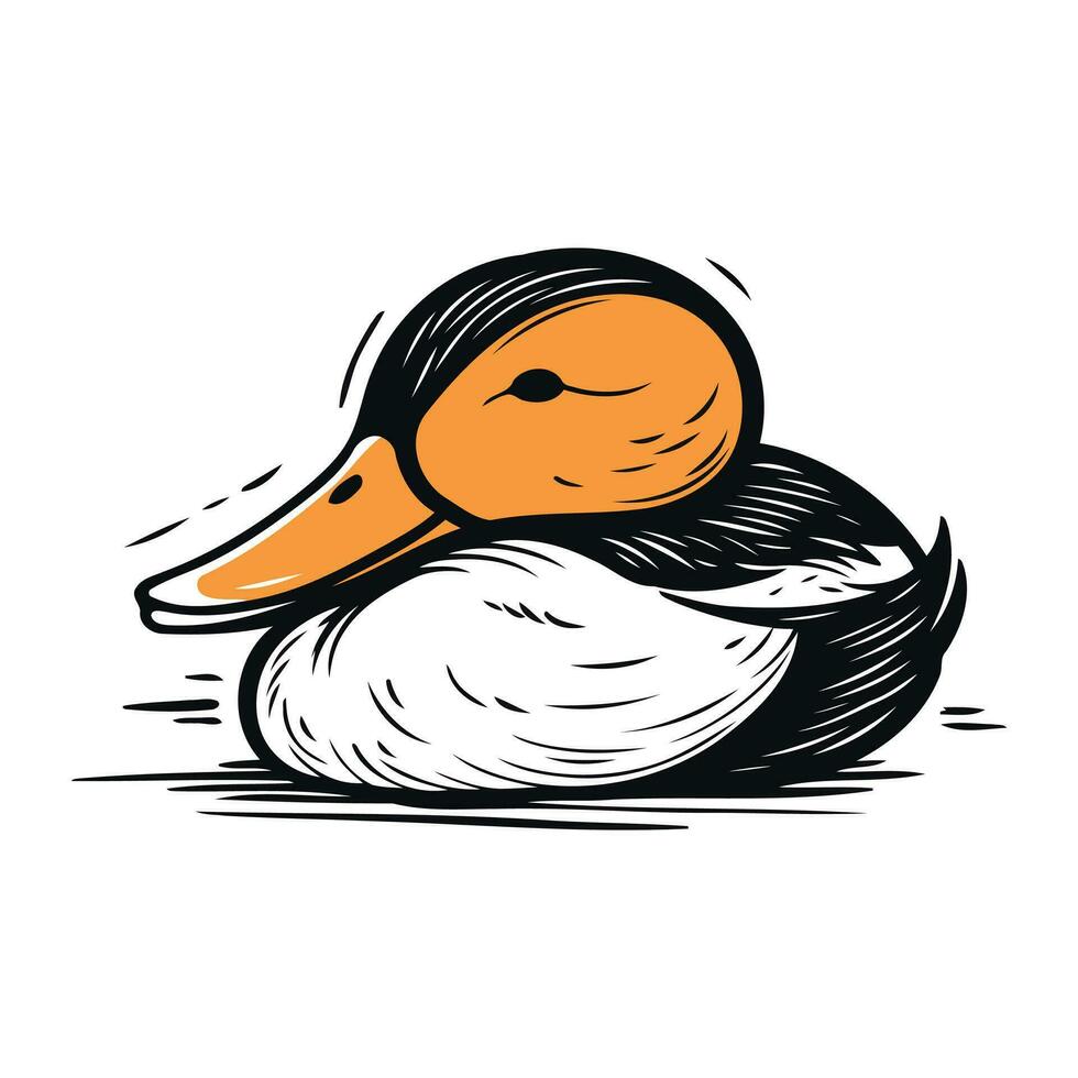 Ente auf ein Weiß Hintergrund. Vektor Illustration von ein Ente.