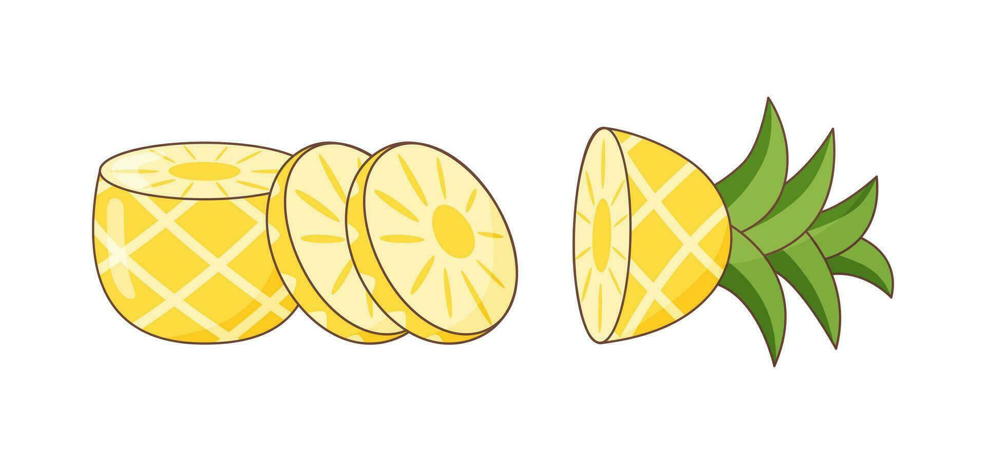 Ananas Scheiben isoliert auf Weiß vektor