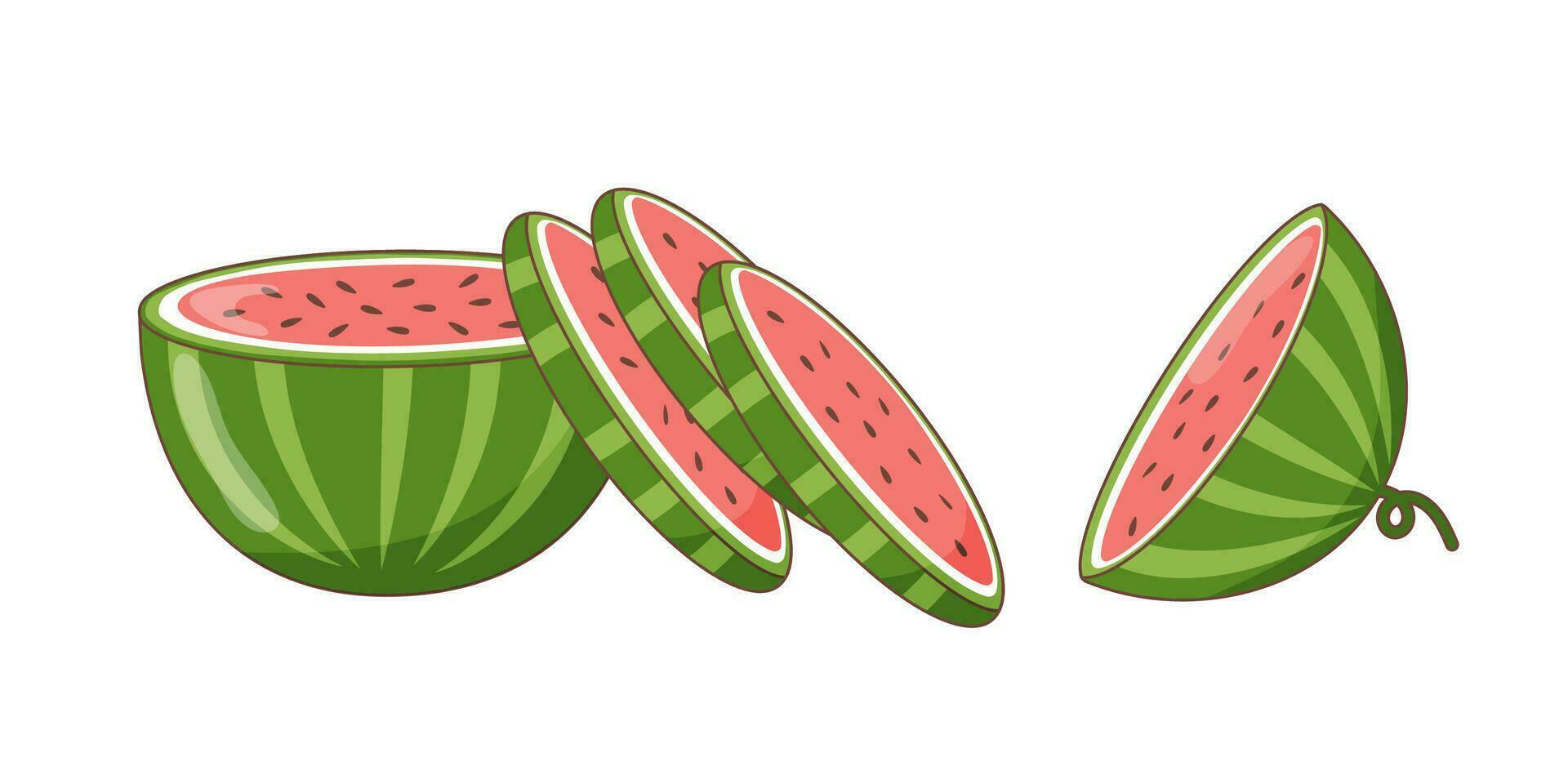 Wassermelone geschnitten auf Weiß Hintergrund vektor