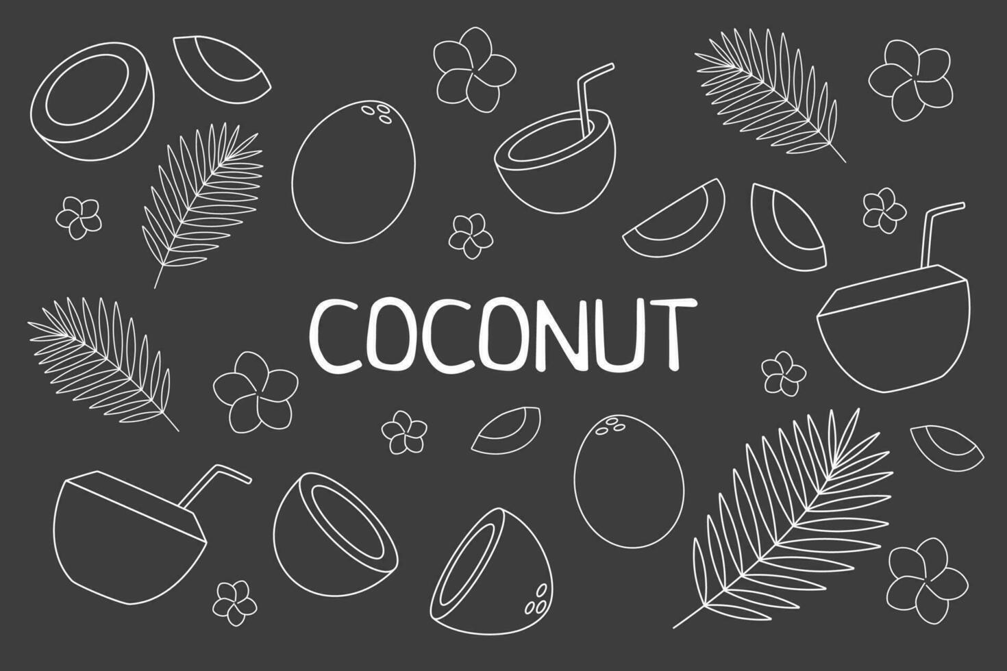 kokos uppsättning översikt på svart bakgrund vektor