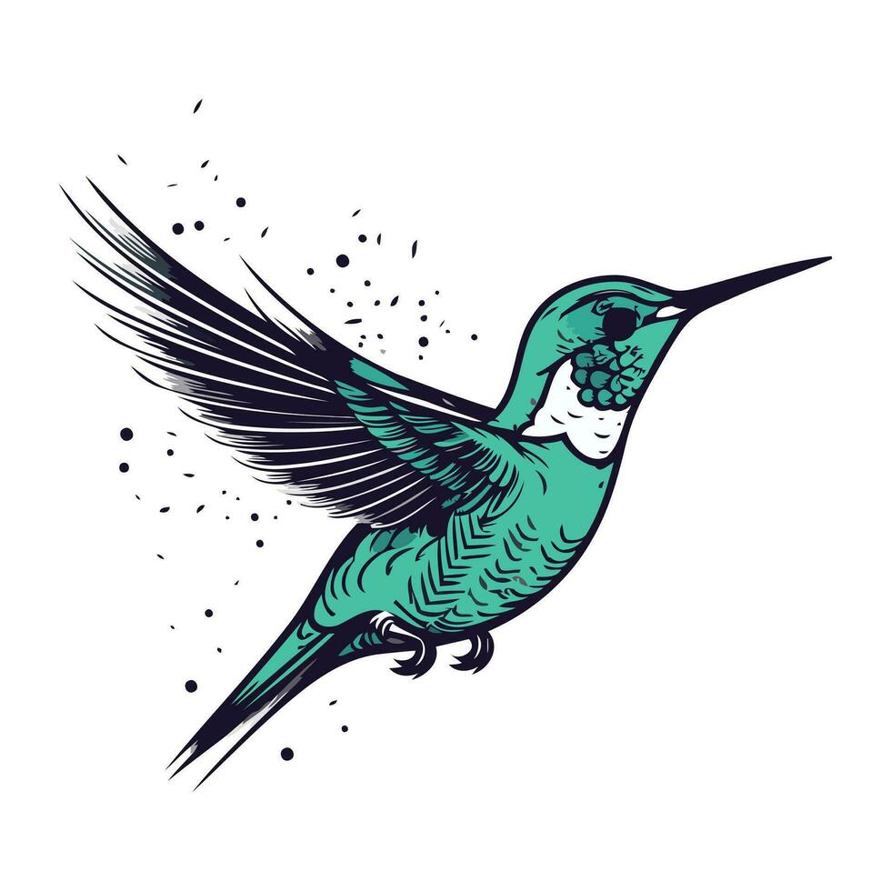 kolibri hand dragen vektor illustration. isolerat på vit bakgrund.