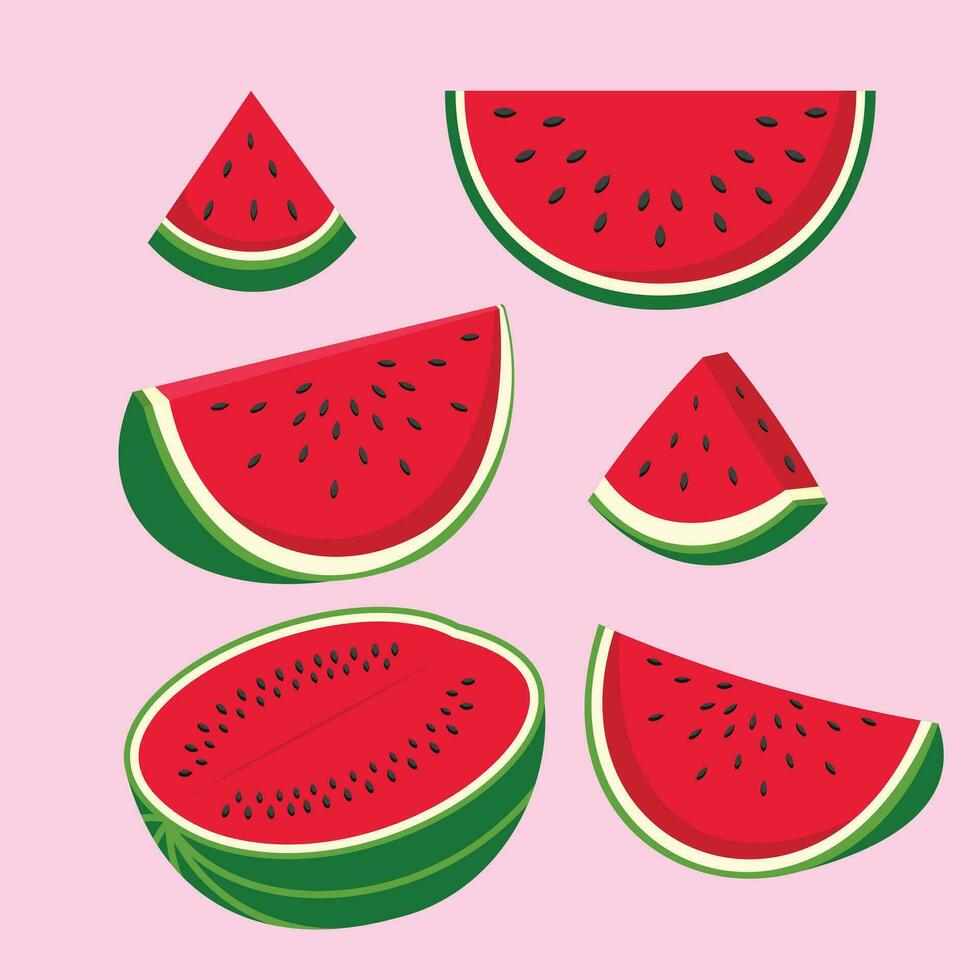 Wassermelone wie Symbol zum Speichern Palästina. Wassermelone ist ein großartig Symbol zum Palästinenser. vektor