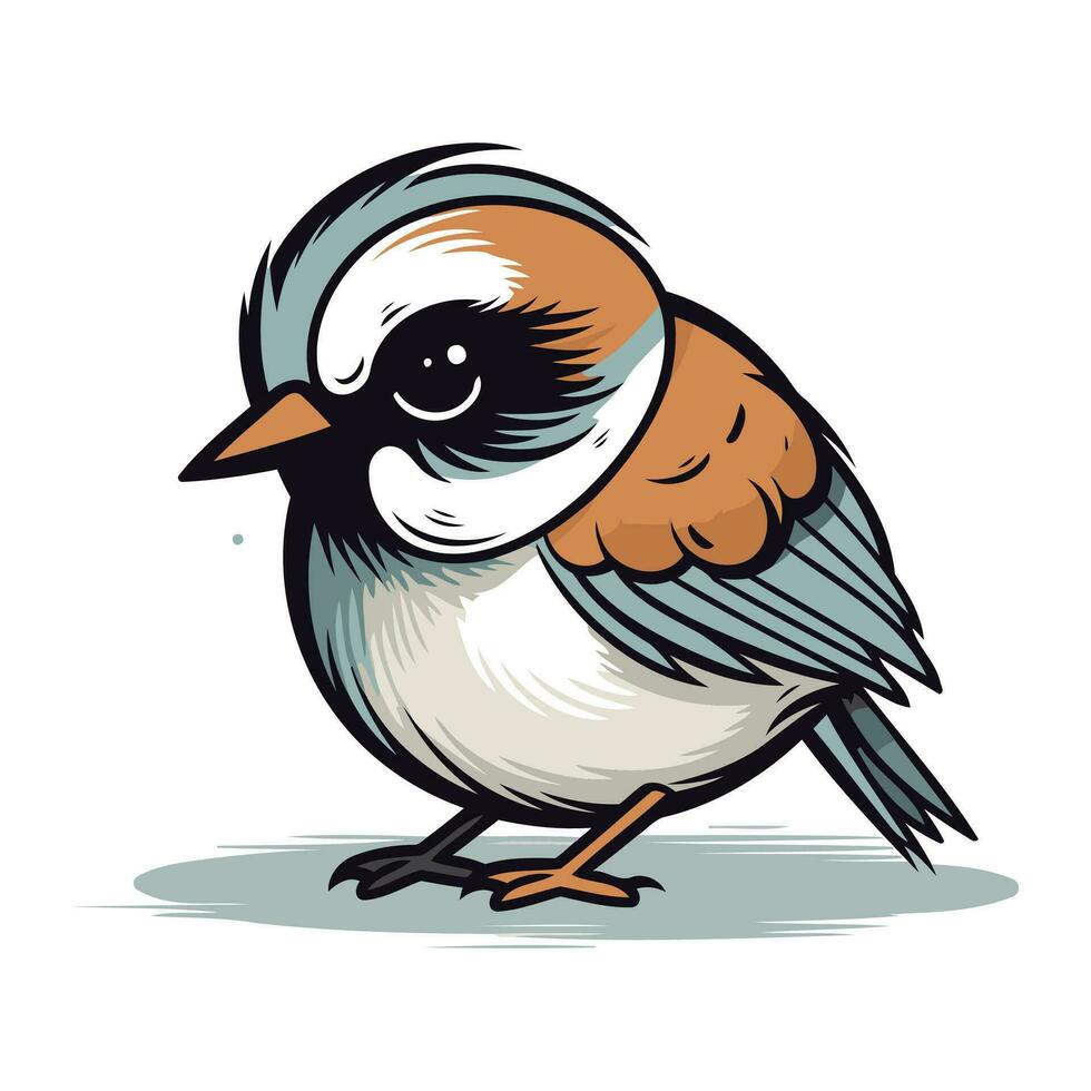 vektor illustration av en robin fågel. isolerat på vit bakgrund.