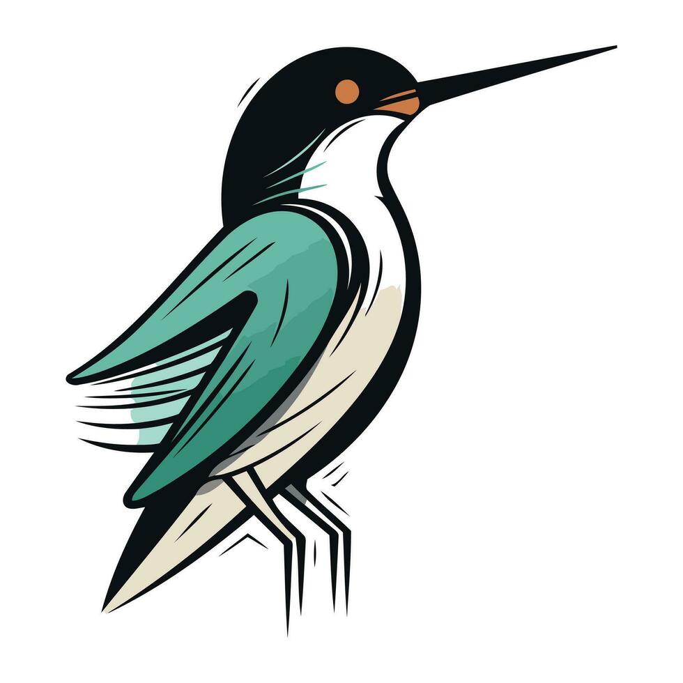 Vektor Illustration von ein Kolibri isoliert auf ein Weiß Hintergrund. Hand gezeichnet Stil.