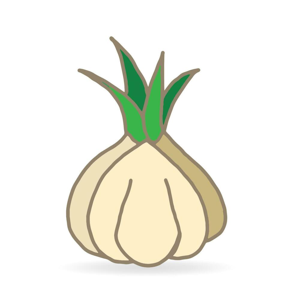 Knoblauch Vektor Symbol. Karikatur Vektor Symbol isoliert auf Weiß Hintergrund Knoblauch.