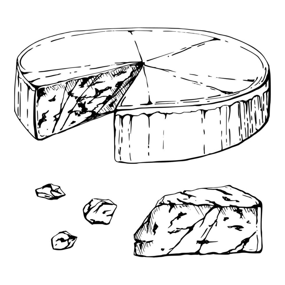 hand dragen vektor bläck illustration. gorgonzola blå ost, full huvud och skiva, mejeri produkt. enda objekt isolerat på vit. design för restaurang, meny, Kafé, mat affär eller paket, flygblad, skriva ut.