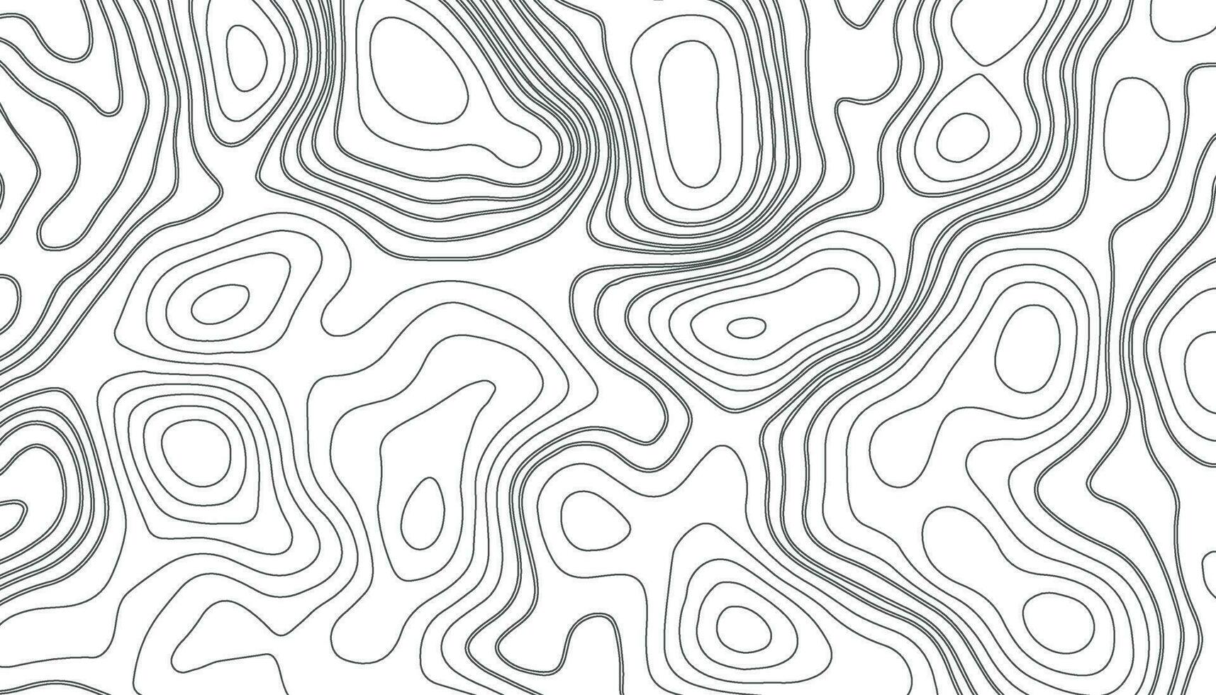 bakgrund av de topografisk Karta. elevation konturering översikt kartografi textur. geografisk abstrakt rutnät. trogen trådmodell landskap bakgrund. svart och vit sömlös mönster vektor