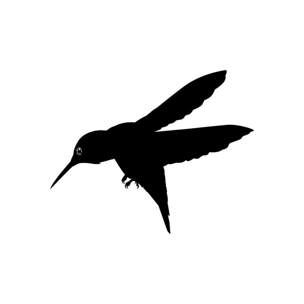 fliegend Kolibri Silhouette, können verwenden Kunst Illustration, Webseite, Logo Gramm, Piktogramm oder Grafik Design Element. Vektor Illustration