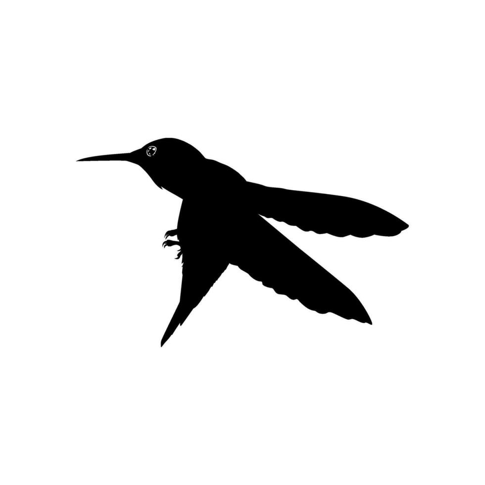 fliegend Kolibri Silhouette, können verwenden Kunst Illustration, Webseite, Logo Gramm, Piktogramm oder Grafik Design Element. Vektor Illustration