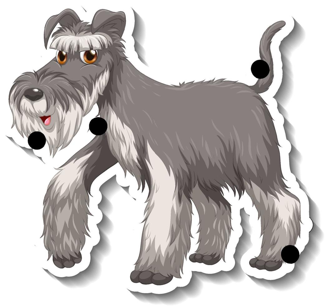 klistermärke design med grå schnauzer hund isolerade vektor