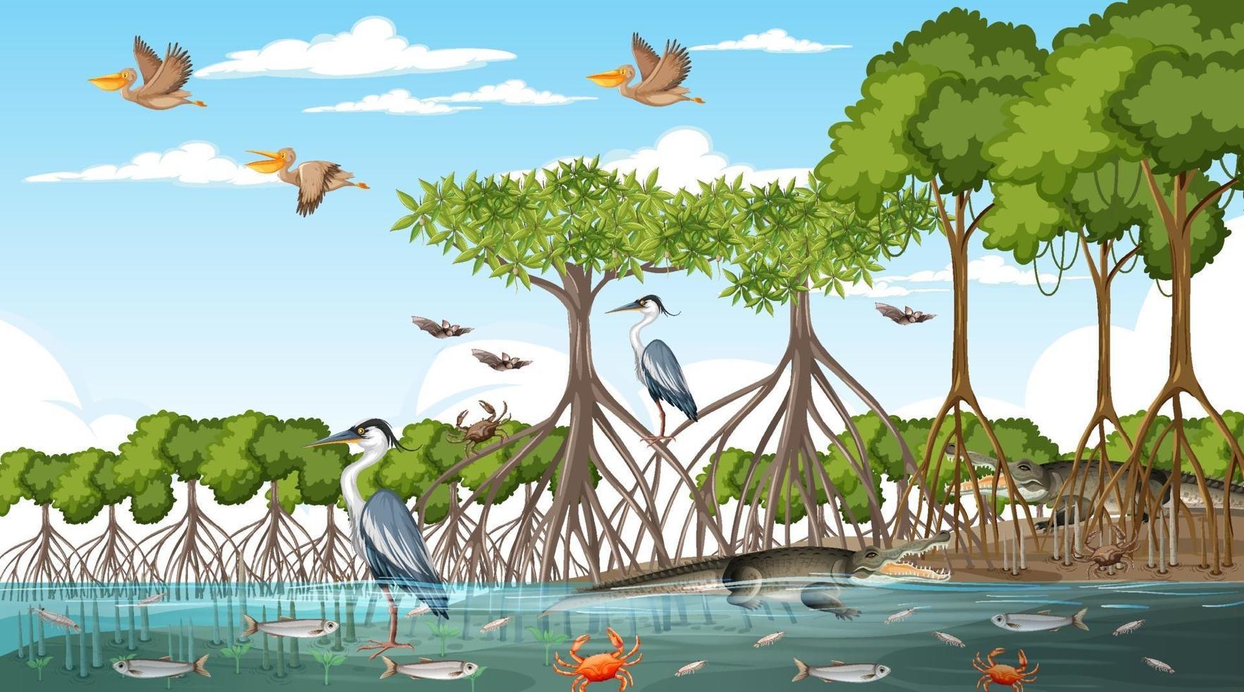 mangroveskog landskap scen på dagtid vektor