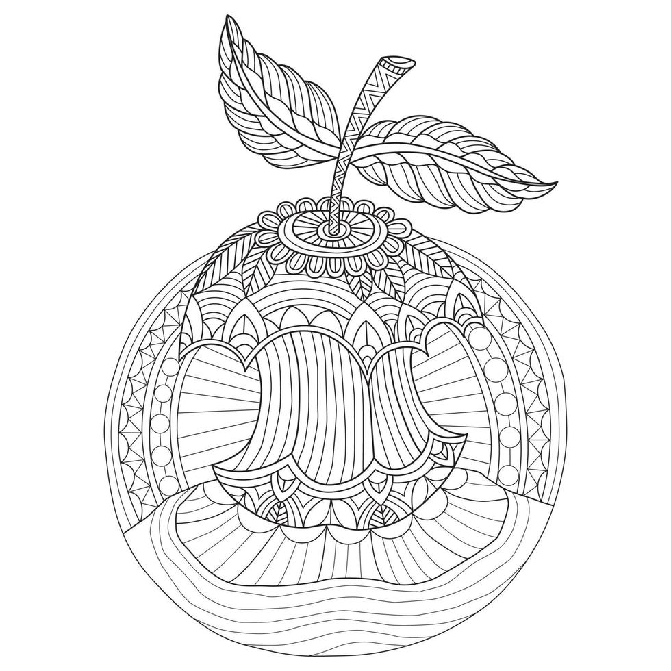 Apfel handgezeichnet für Erwachsene Malbuch vektor
