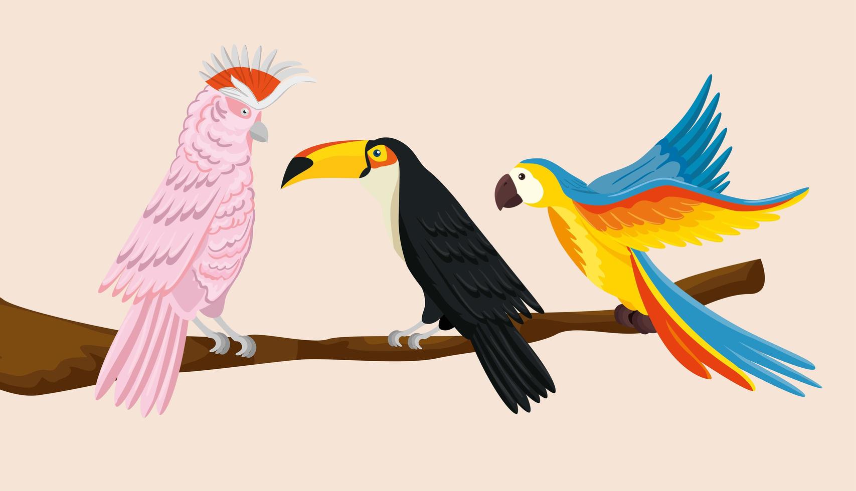 Papageien mit Tukan auf Zweig isoliert Symbol vektor