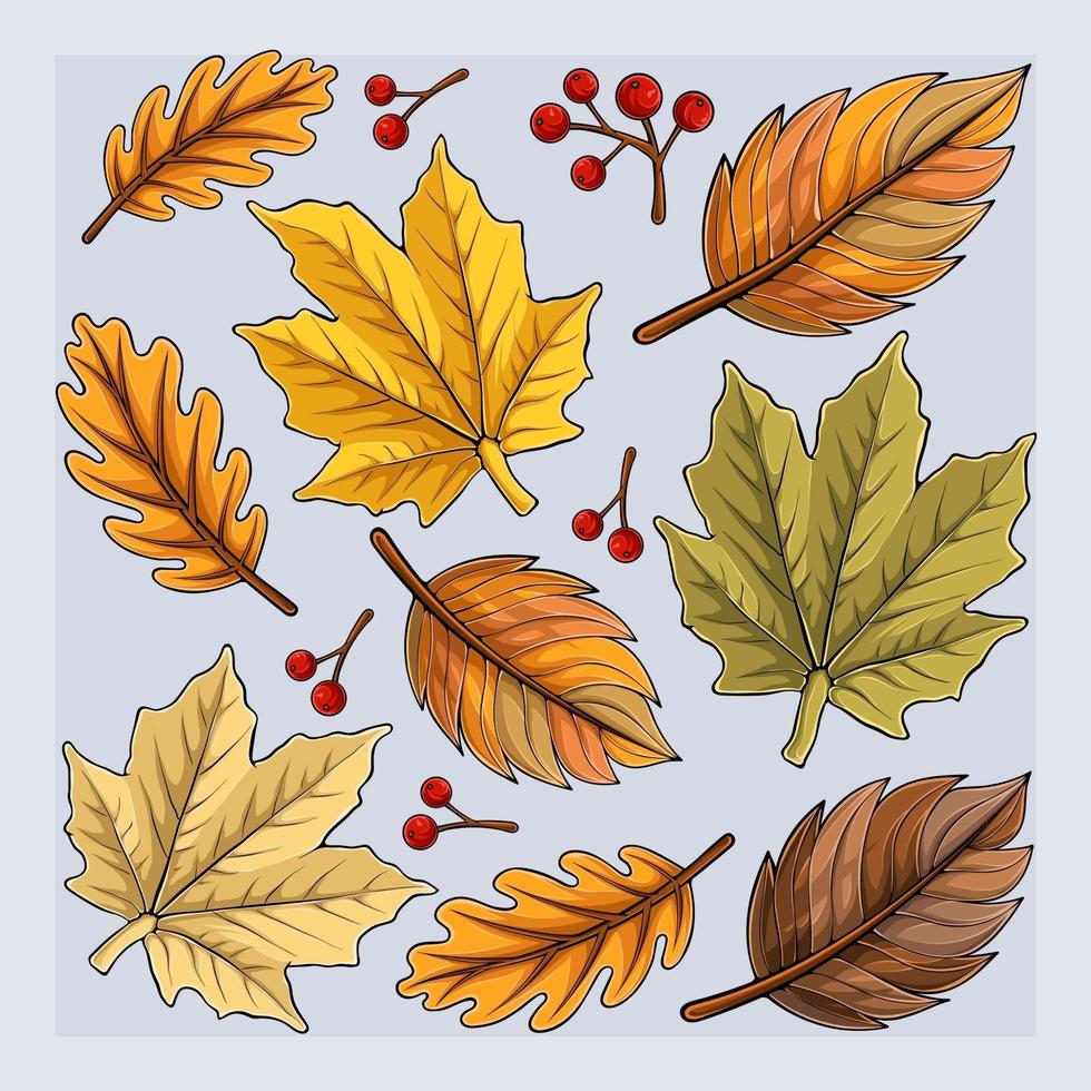 handgezeichnete Herbstlaubkollektion, bunte Herbstblätter fallen vektor