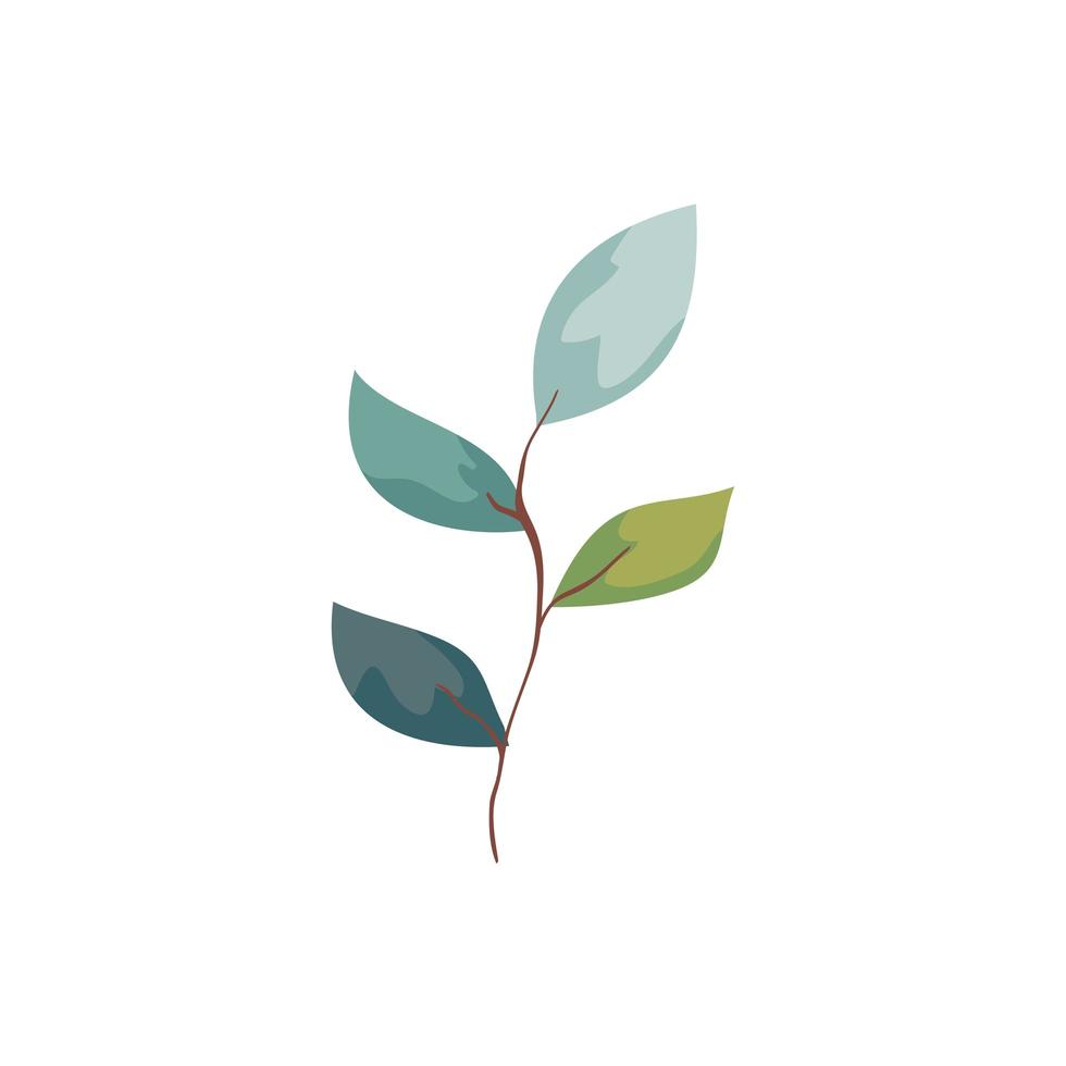Zweig mit Blättern Natur Ökologie isolierte Symbol vektor