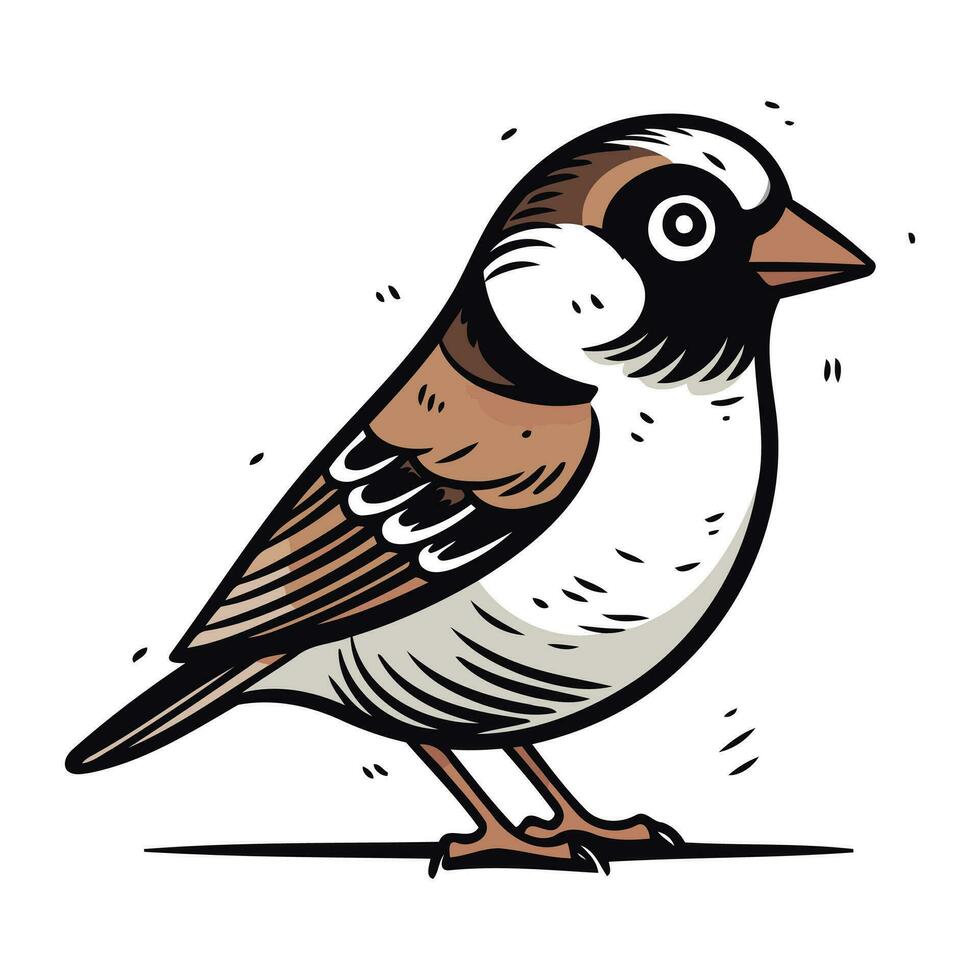 Spatz. Vektor Illustration von ein Vogel auf ein Weiß Hintergrund.