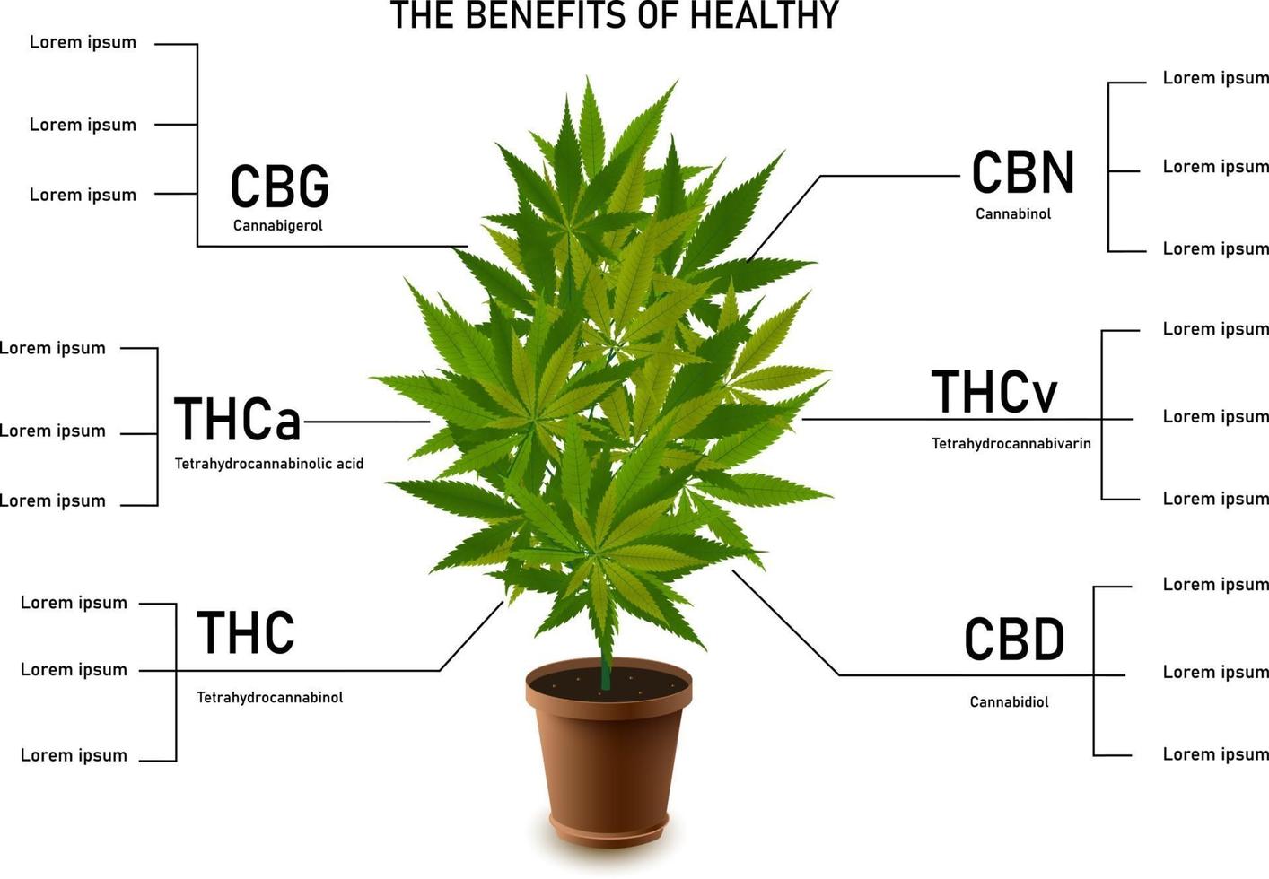 die Vorteile von gesunden Marihuanablättern Cannabinoid 101 Infografik vektor