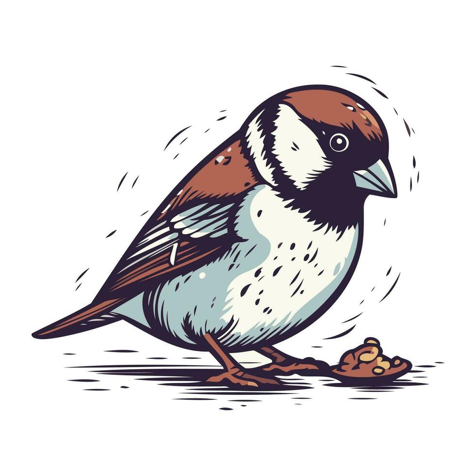 Hand gezeichnet Spatz. Vektor Illustration. isoliert auf Weiß Hintergrund.