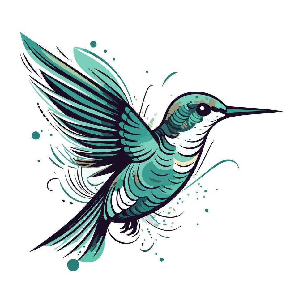 Kolibri Hand gezeichnet Vektor Illustration. isoliert auf Weiß Hintergrund.