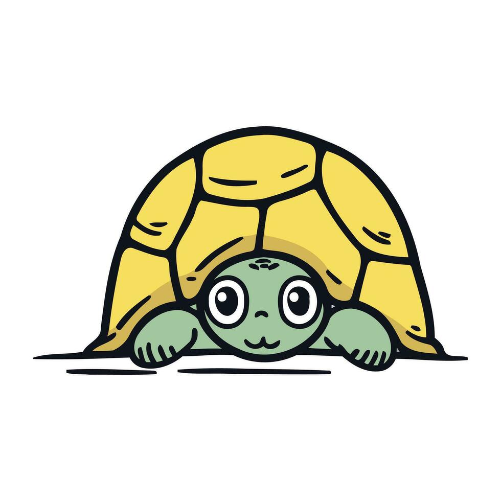 Karikatur Schildkröte. Vektor Illustration isoliert auf ein Weiß Hintergrund.
