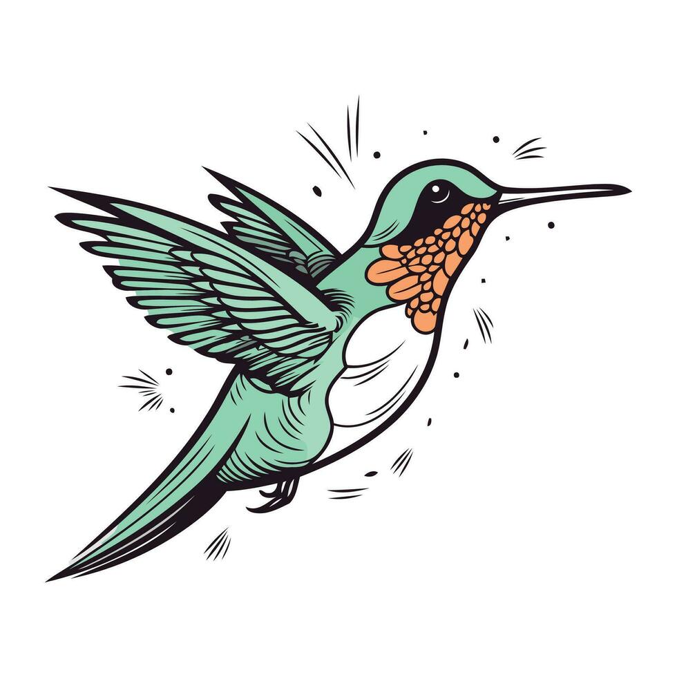 Kolibri Vektor Illustration. isoliert Kolibri auf Weiß Hintergrund.