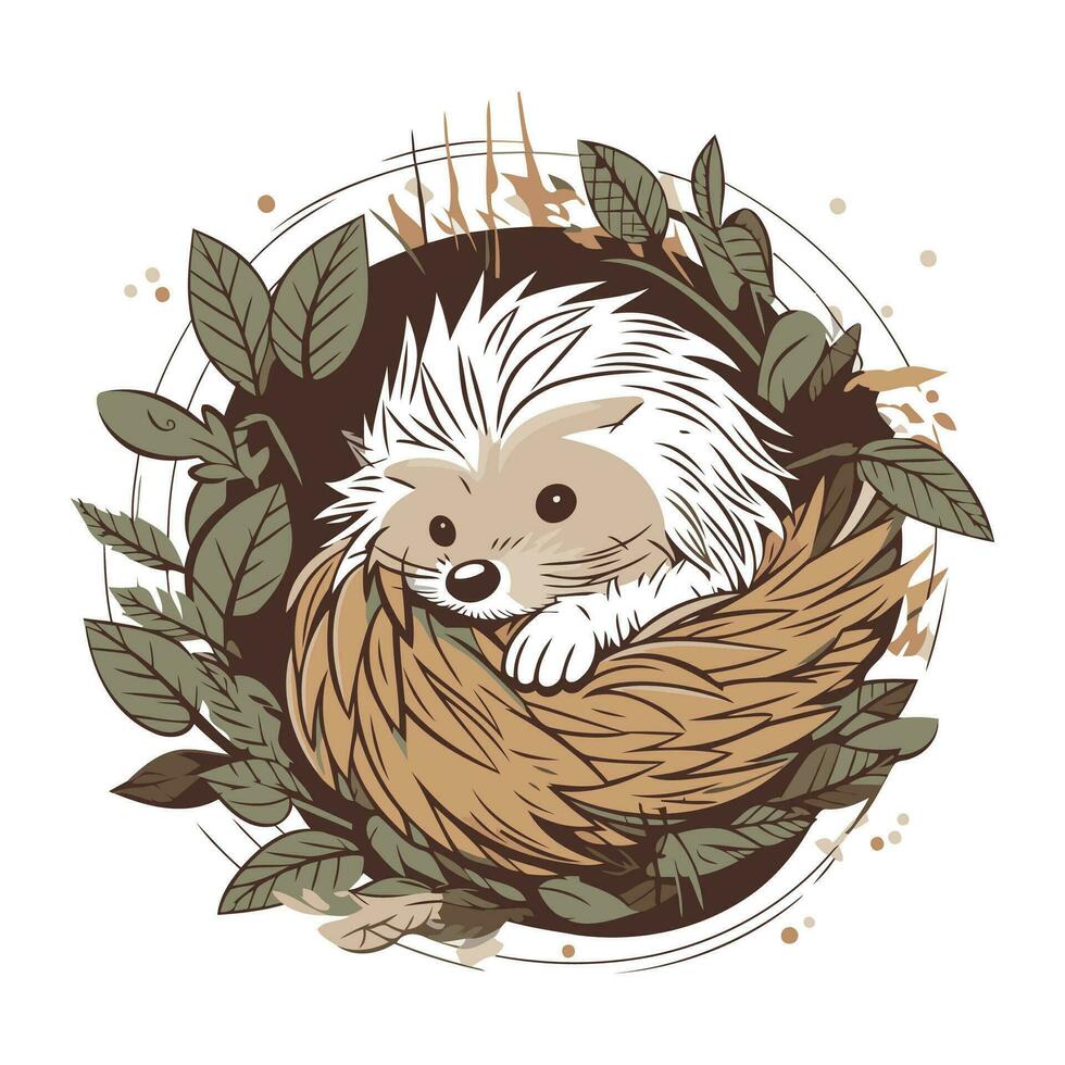 süß Igel im ein Nest von Blätter. Vektor Illustration.