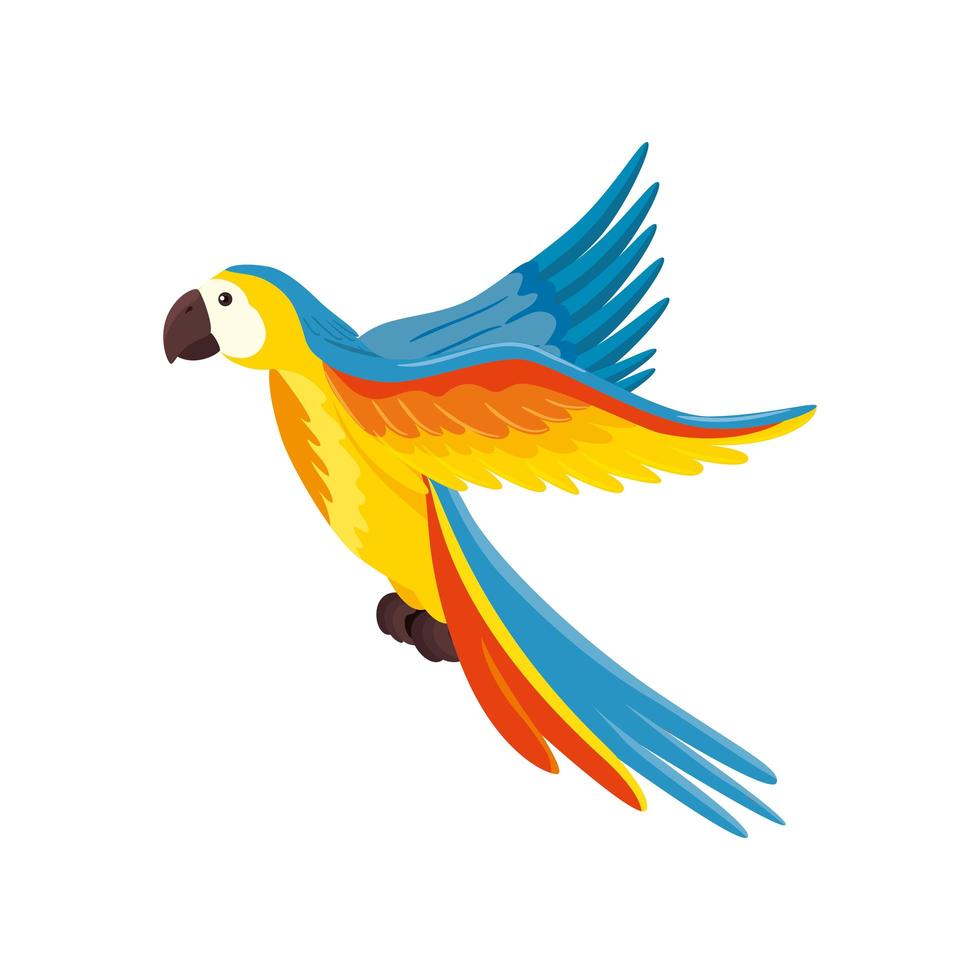 Papagei Tier exotische isolierte Symbol vektor