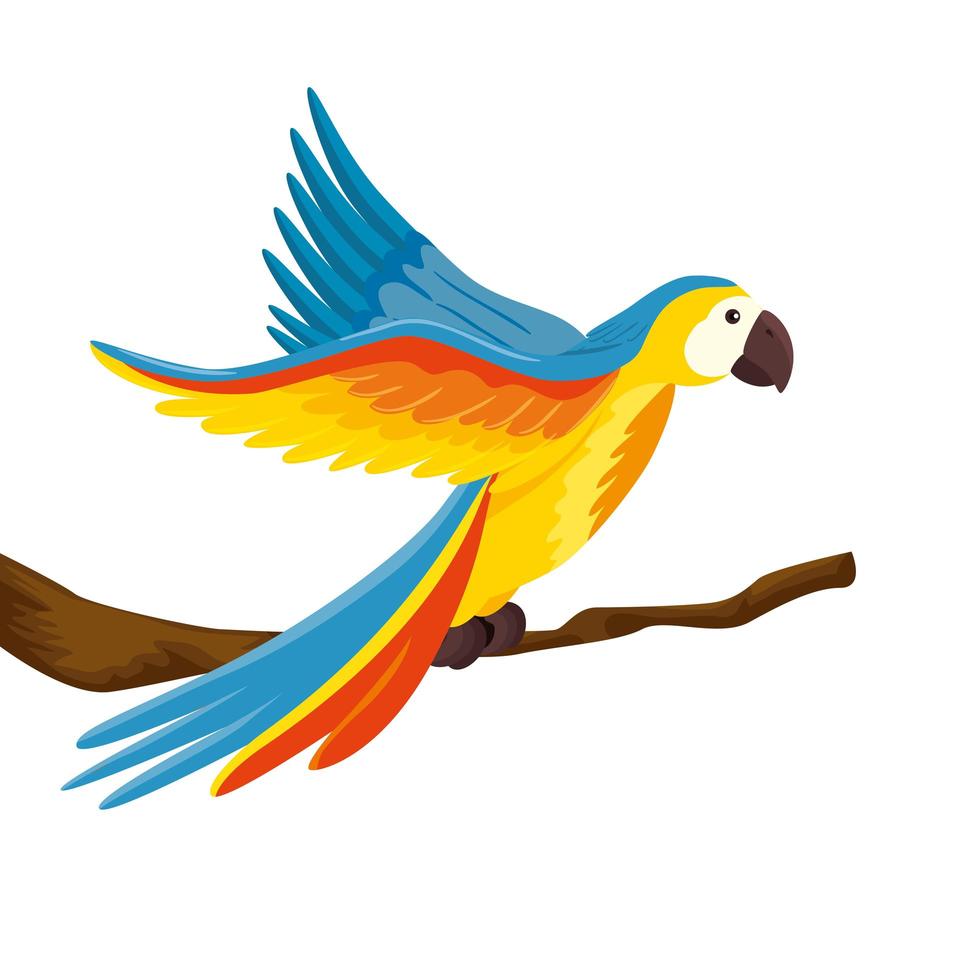 Papagei Tier exotisch in Zweig isolierte Symbol vektor